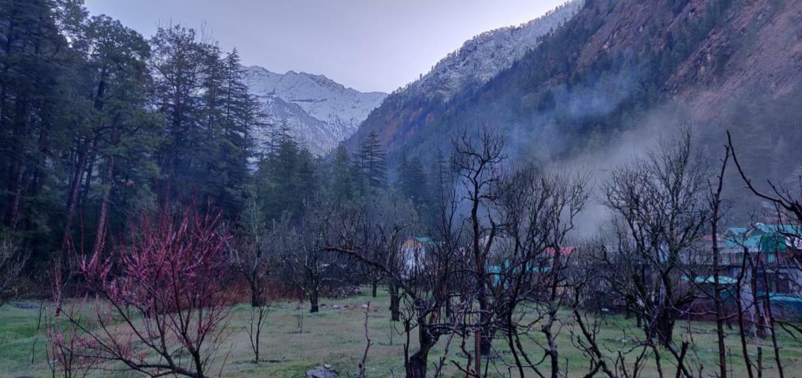 The Royal Orchard Kasol Hotel Eksteriør billede